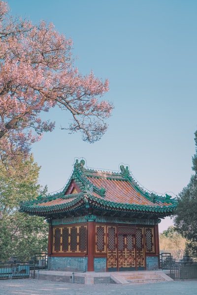 棕红色木神庙